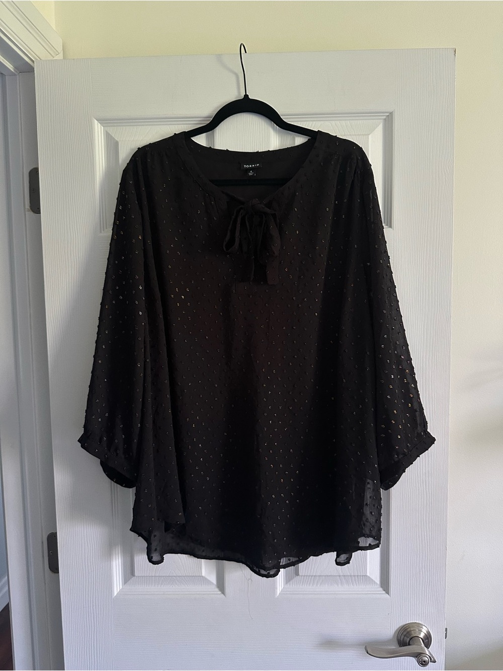 Size 4 Torrid Women’s Peasant Blouse Georgette Metallic Clip Dot Black Sheer Top - Picture 6 of 10
